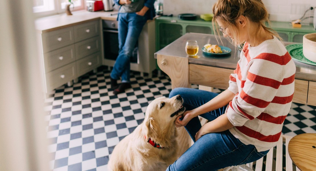 En hund och en kvinna tittar på varandra i ett kök