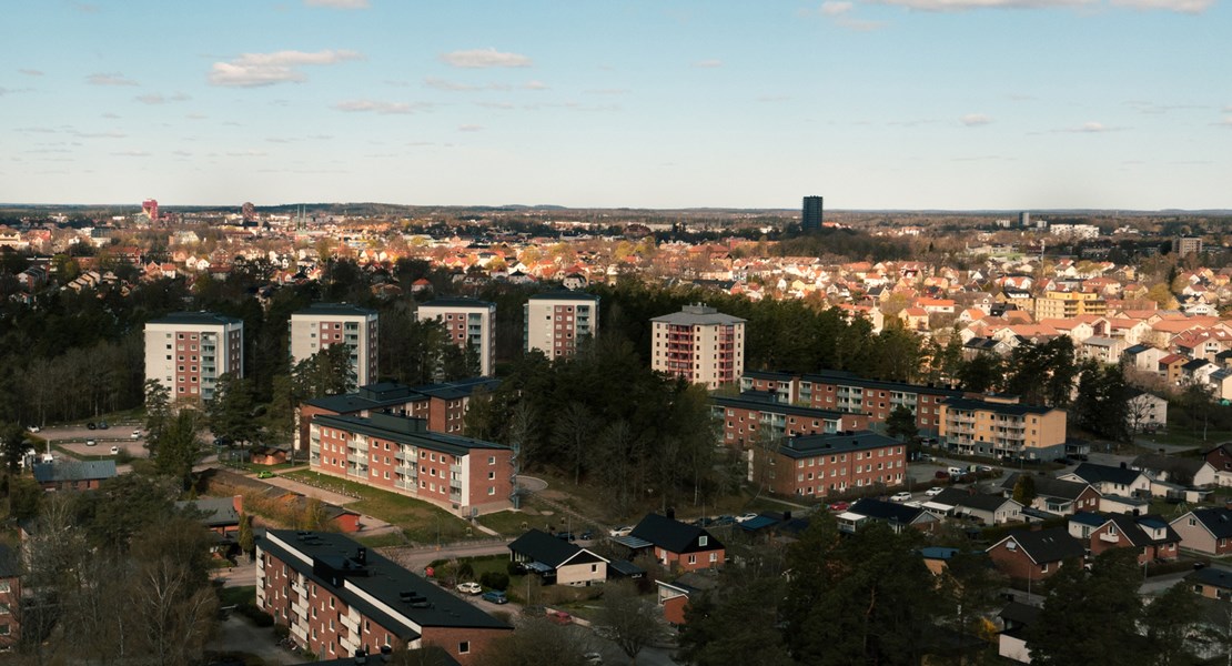 Hund tittar på sin matte i ett kök
