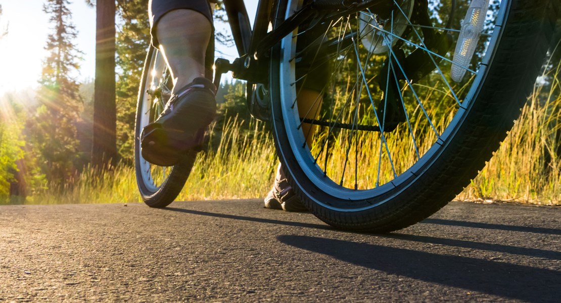 En person står med sin cykel på en väg i skogen med solen som skiner genom träden.