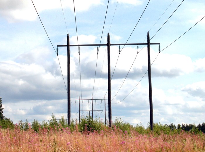 Växjö Energi om regeringens besked kring effektavgifter