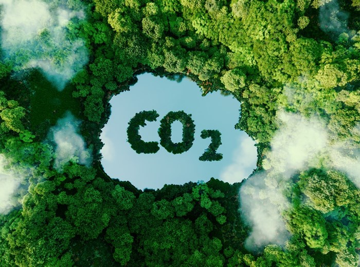Växjö Energi leder sydsvenskt projekt för koldioxidinfångning – får statligt stöd