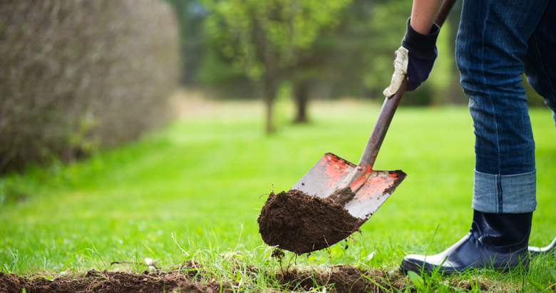 Tr&auml;dg&aring;rdsarbete-med-spade.jpg